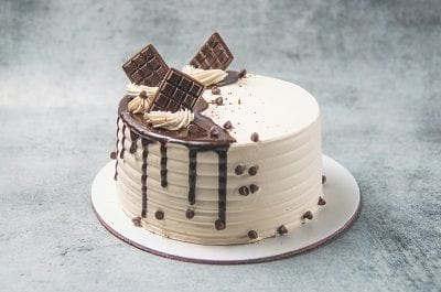 legateaucakes 1/2KG / Egg / Circle Mocha Chocolate