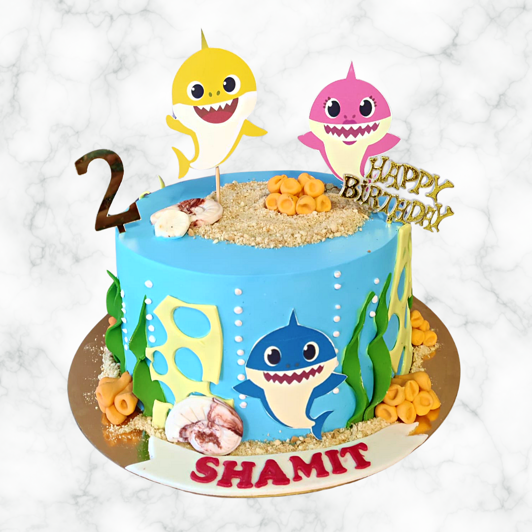 Baby Shark Party Time!