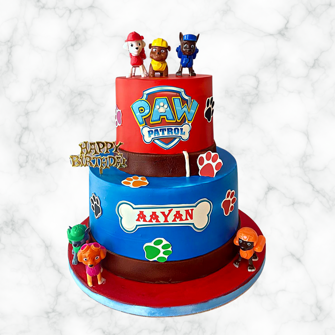 A Paw Patrol Party Cake!