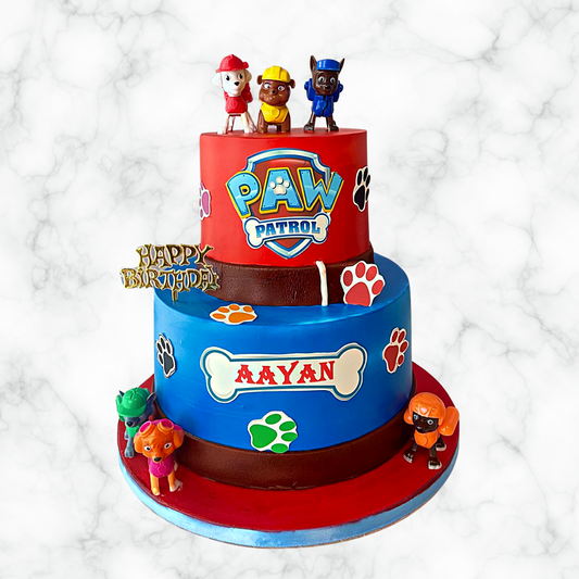 A Paw Patrol Party Cake!
