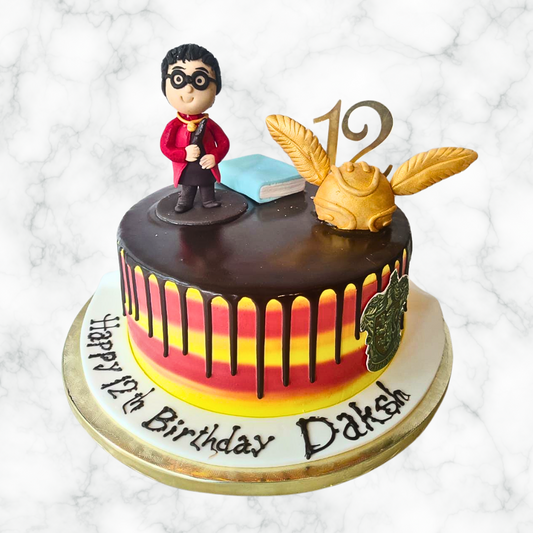 A Mini-Potter Party Cake